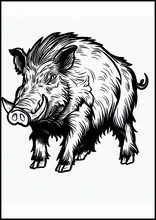 Cinghiale - Animali2