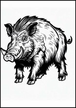 Wild Boar - Animals2