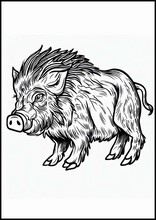 Cinghiale - Animali5