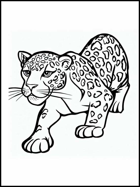 Jaguar - Tiere 1
