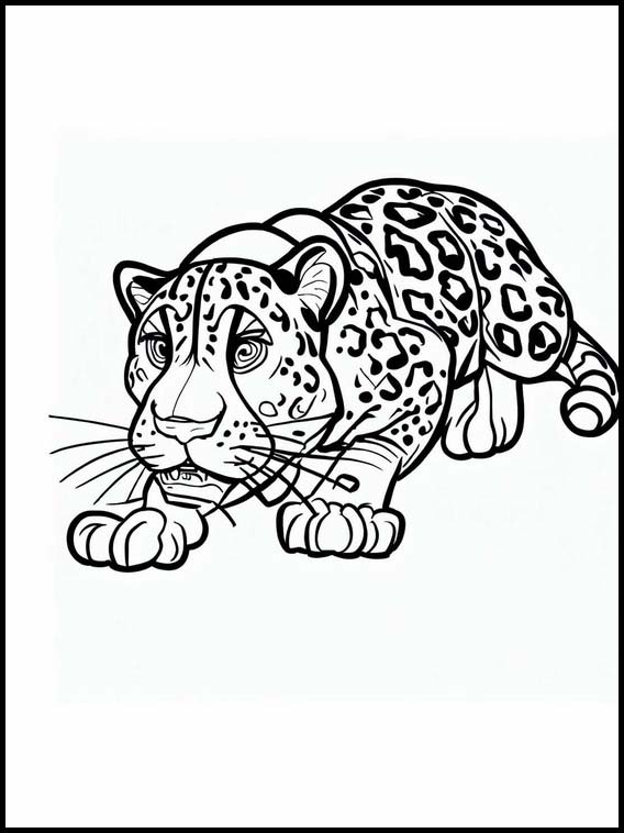 Jaguar - Animaux 2