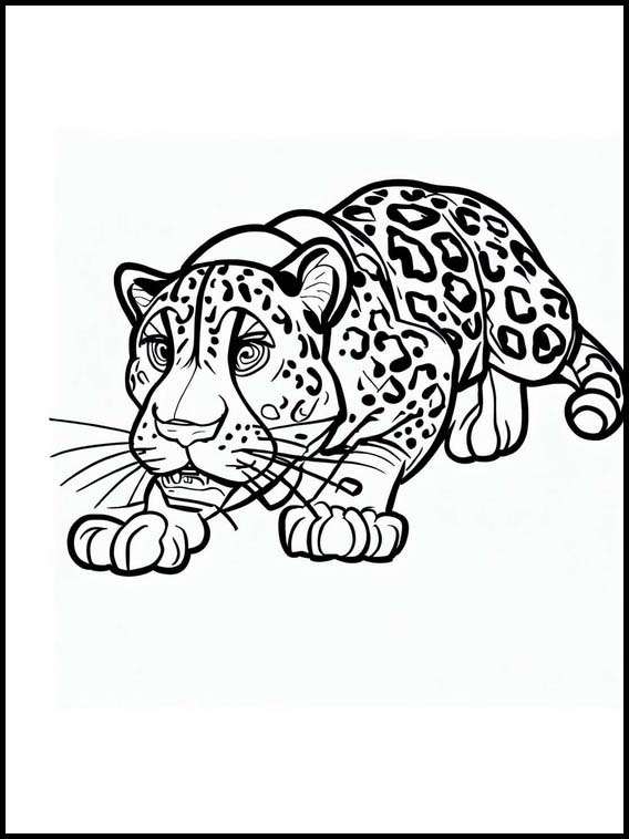 Jaguar - Dieren 2