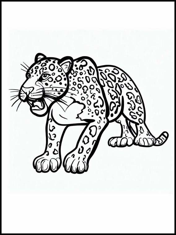 Jaguar - Animales 3