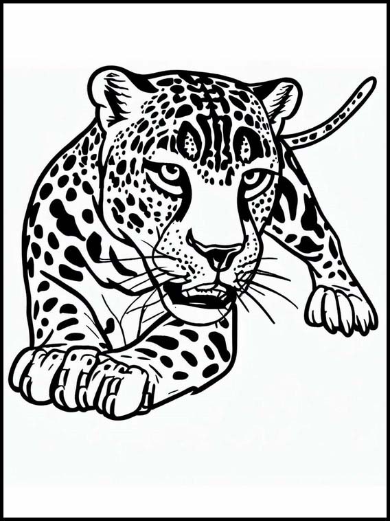 Jaguar - Animales 5