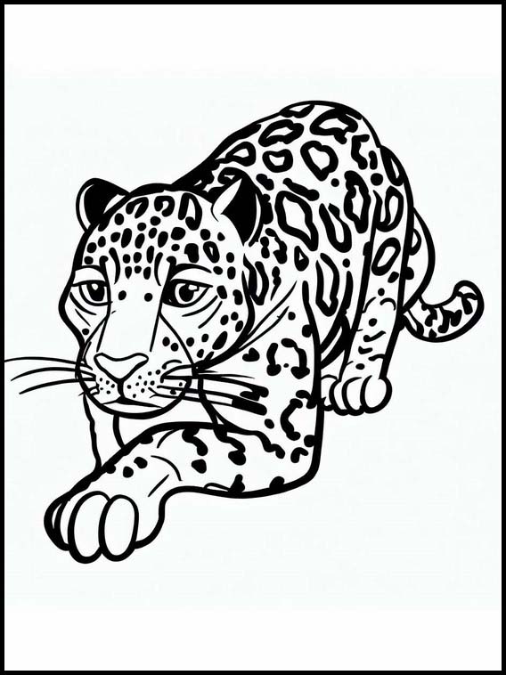 Jaguar - Animales 6