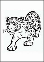 Jaguar - Animaux1