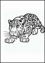 Jaguar - Dieren2