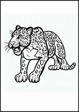 Jaguar - Animaux3