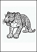 Jaguar - Dieren3