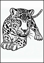 Jaguar - Tiere5