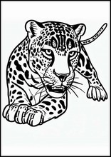 Jaguar - Animales5