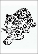 Ягуары - Животные6