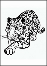 Jaguar - Tiere6