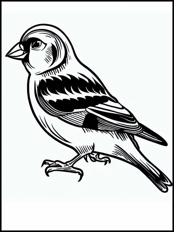 Goldfinches - Animals 4