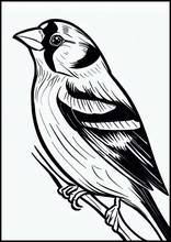 Złote słowiki - Zwierzęta8