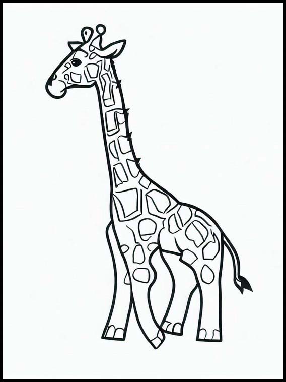 Giraffer - Djur 1