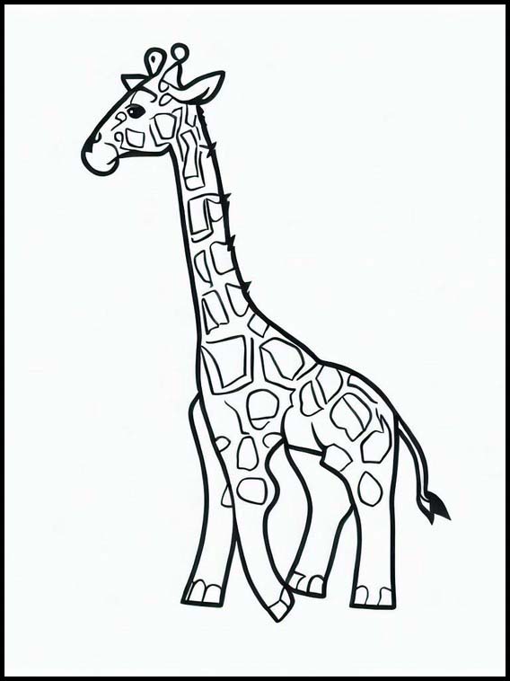 Giraffen - Tiere 1