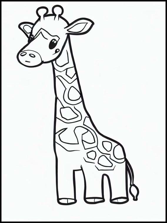 Giraff - Dyr 2