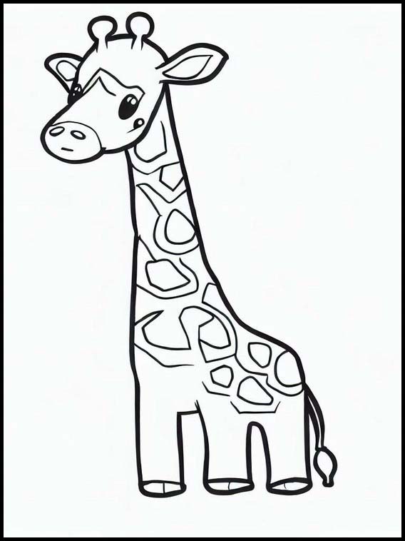 Giraffen - Dieren 2