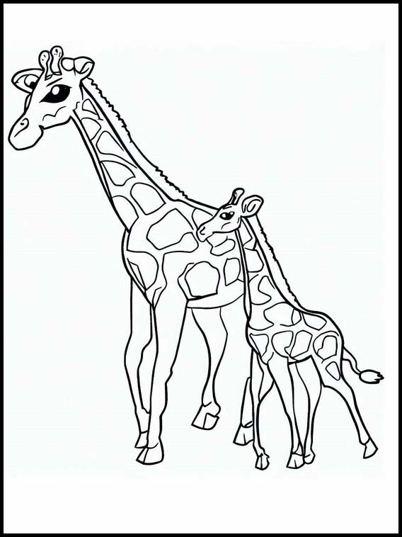 Giraffen - Tiere 4