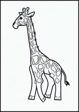 Giraffen - Dieren1