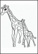 Giraffen - Tiere4