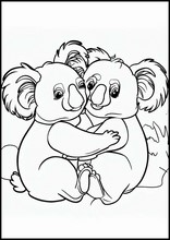 Koala's - Dieren1