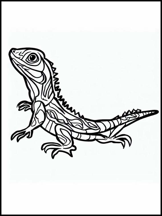 Lucertole - Animali 2