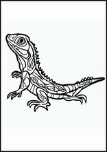 Lucertole - Animali2