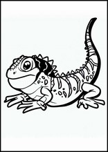 Lucertole - Animali3