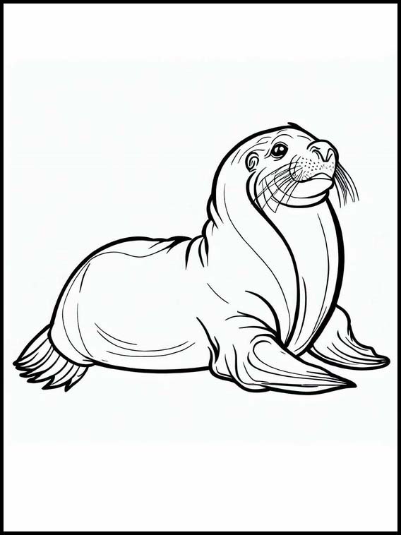 Sea Lions - Animals 2