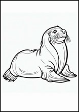 Leões-marinhos - Animais2
