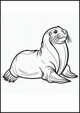 Sea Lions - Animals2