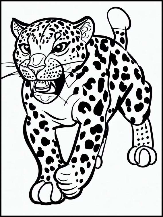Leopards - Animals 1