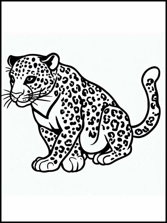 Leopardos - Animales 5