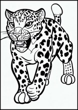 Leopardos - Animais1