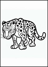 Леопарды - Животные2