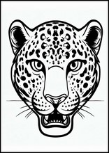Leopardos - Animais3