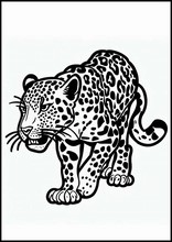 Леопарды - Животные4