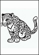 Леопарды - Животные5