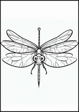 Wazki - Zwierzęta5