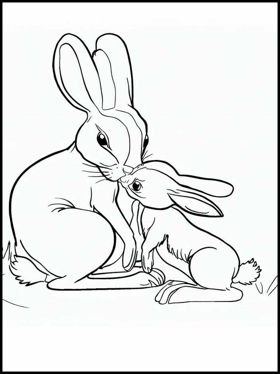 Hare - Dyr 1