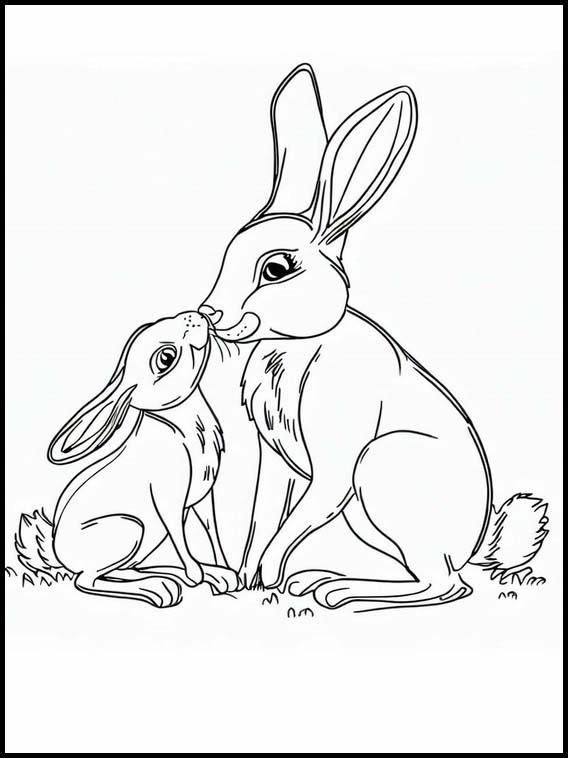 Hares - Animals 2