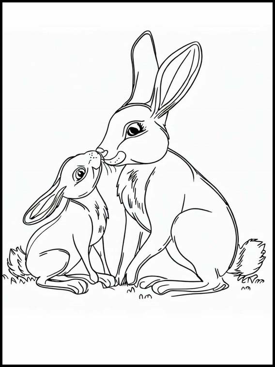Hare - Dyr 2