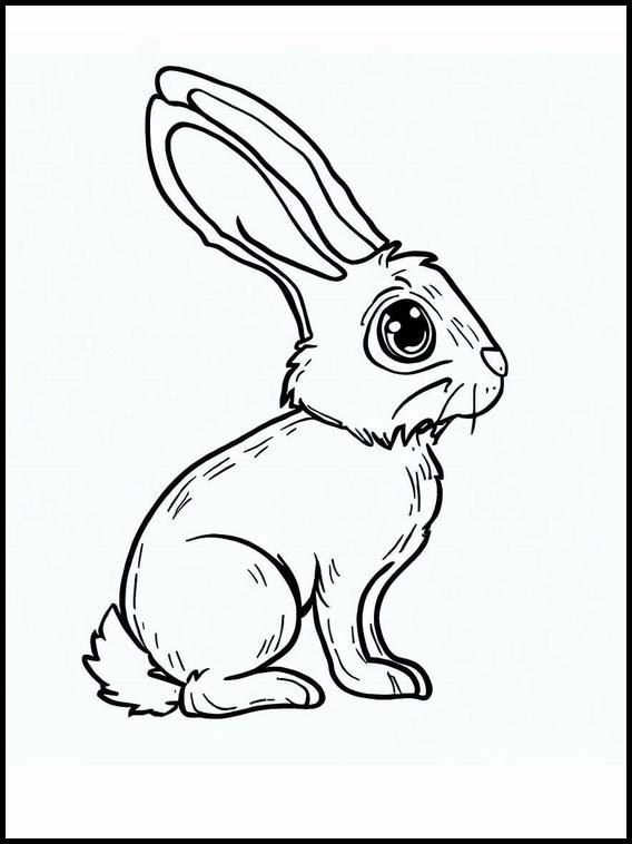 Hares - Animals 3