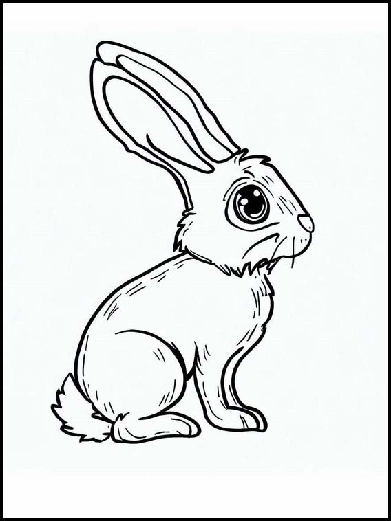 Hare - Dyr 3