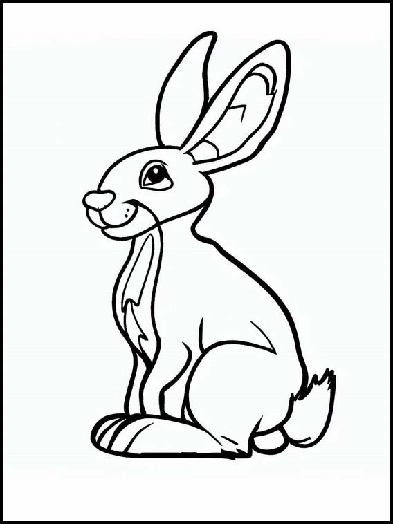 Hare - Djur 4