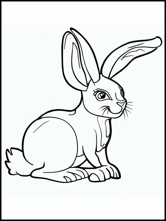 Hares - Animals 5