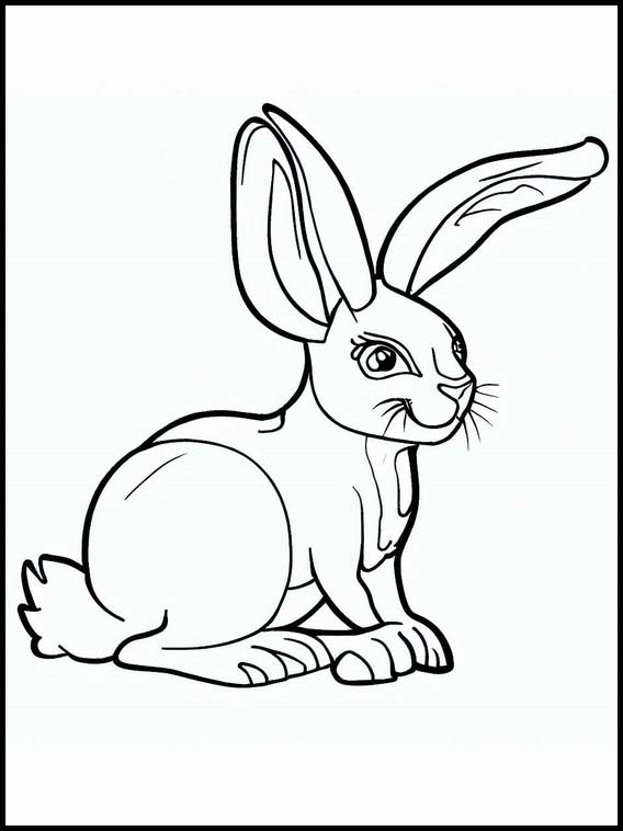 Hare - Dyr 5