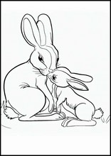 Hares - Animals1